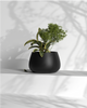 Blob L - Desk Planter