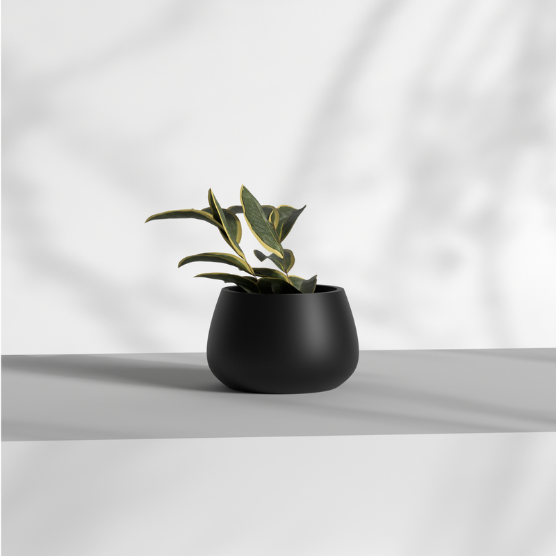 Blob S Gallery by The Workshop