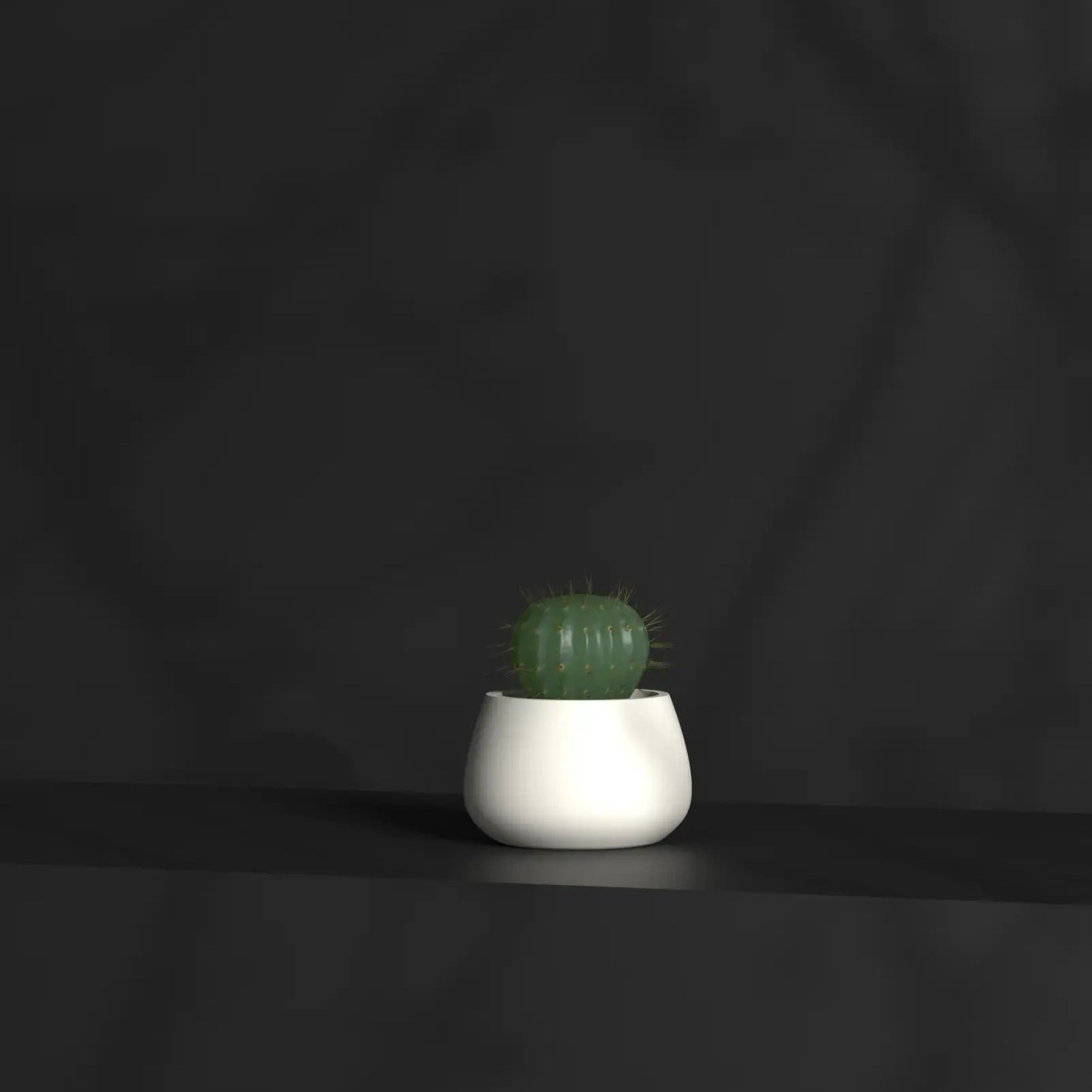 Blob S Gallery by The Workshop