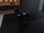 Cane Corso Desktop Gallery by The Workshop