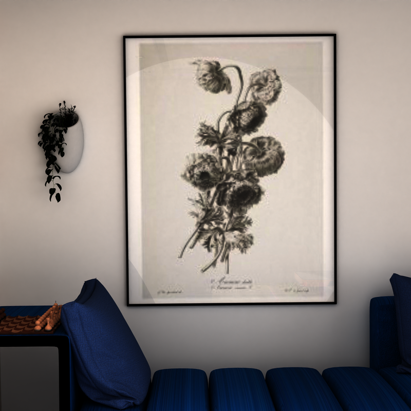 Cocoon Gallery by The Workshop