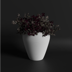 Coil M Gallery by The Workshop