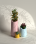Conetu Combo Gallery by The Workshop