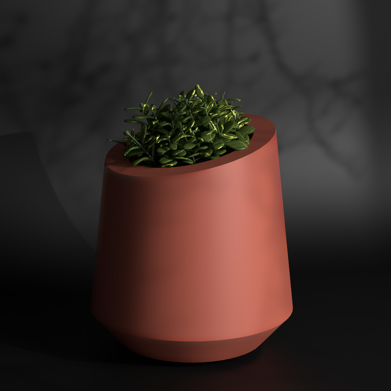 Conetu S Gallery by The Workshop