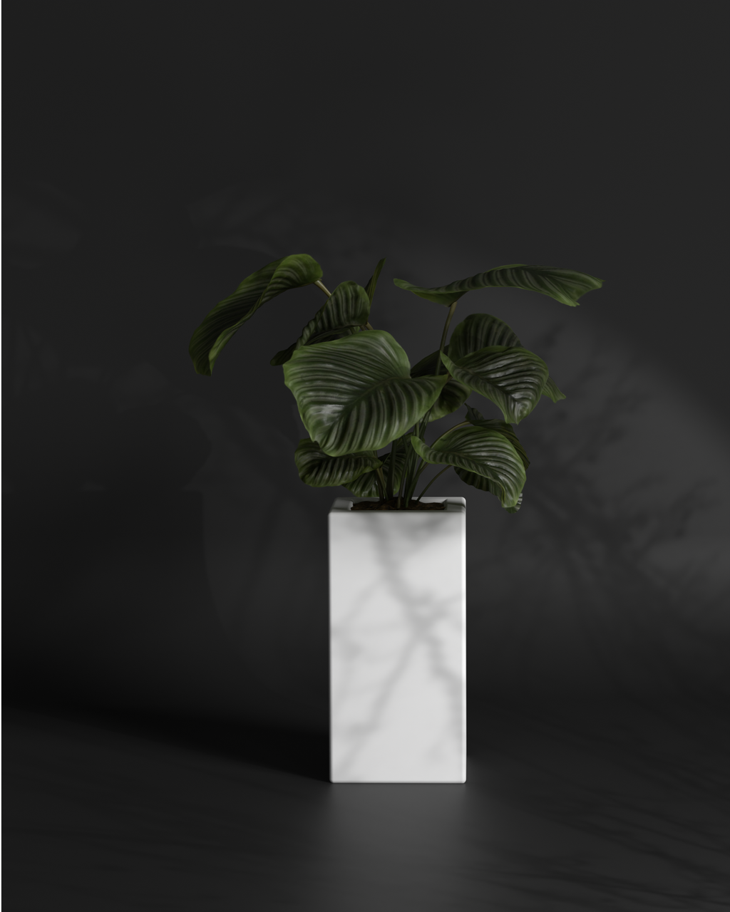 Cubo 12x12x24 Gallery by The Workshop
