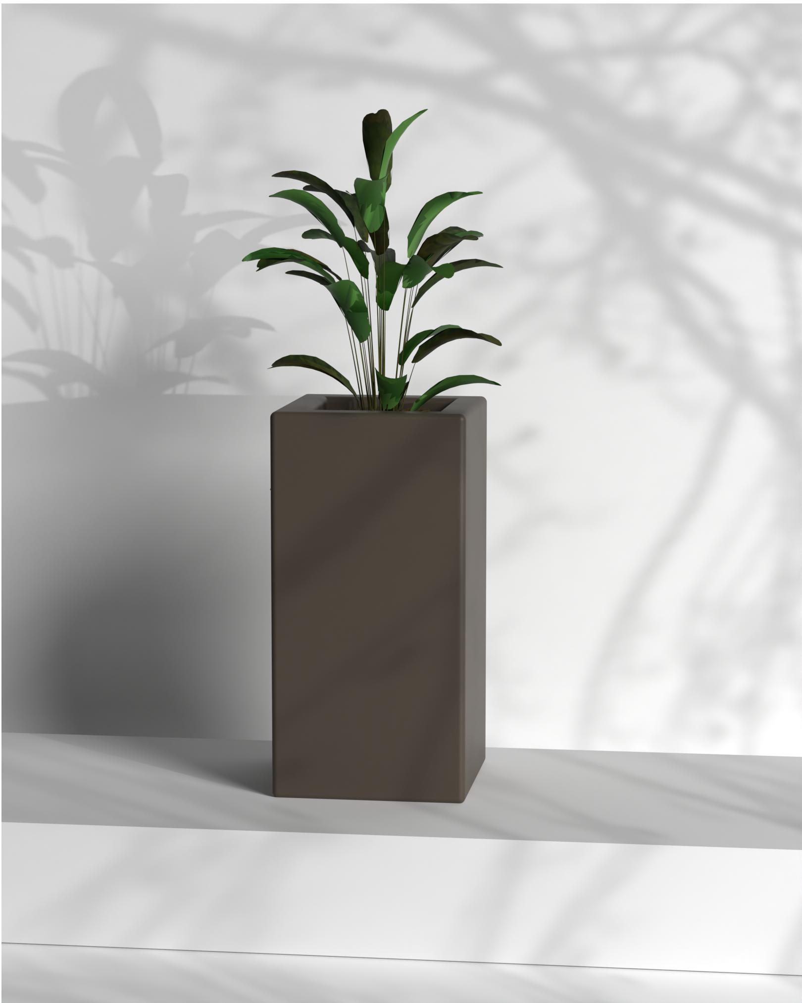 Cubo 12x12x24 Gallery by The Workshop
