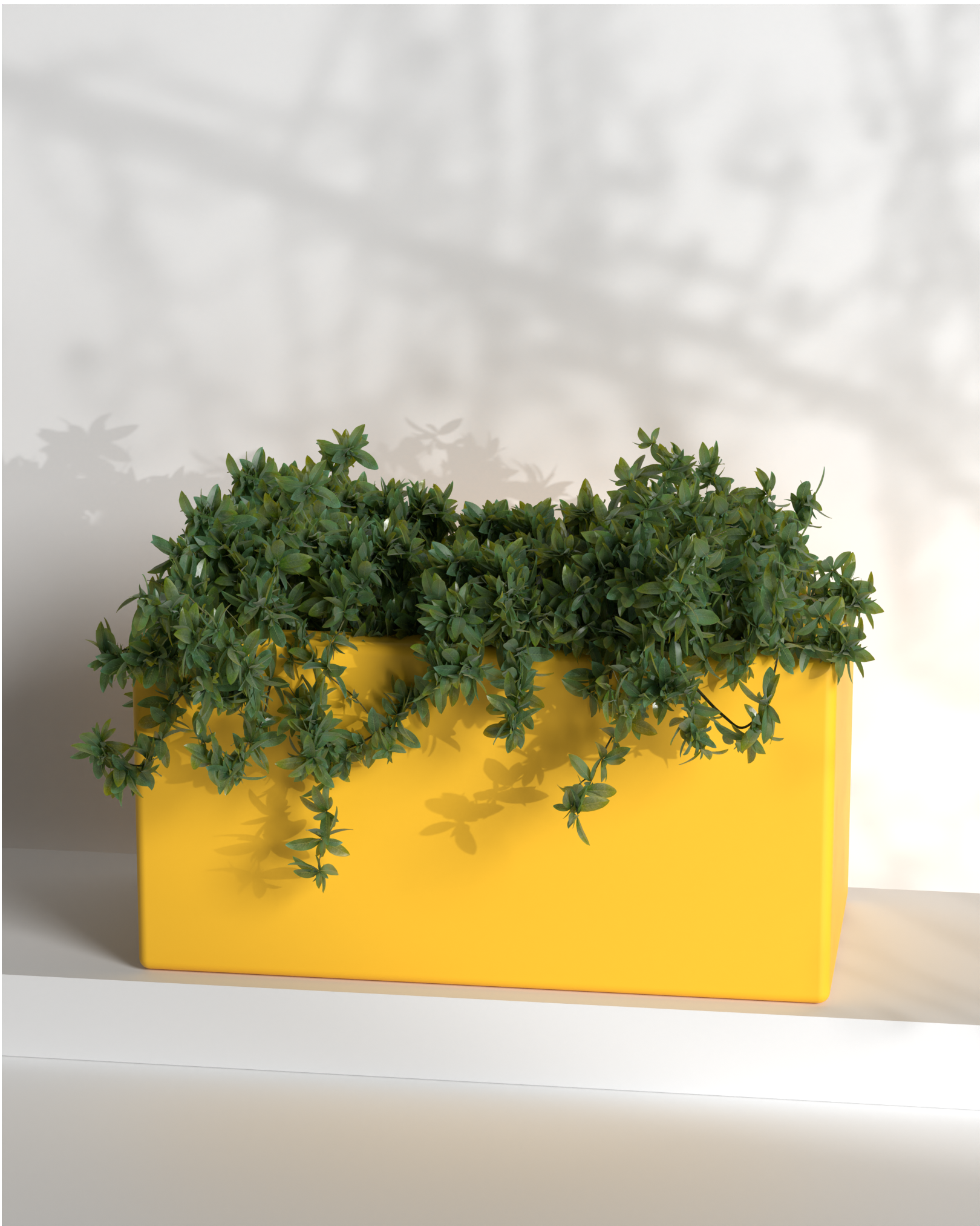 Cubo 24x12x12 Gallery by The Workshop