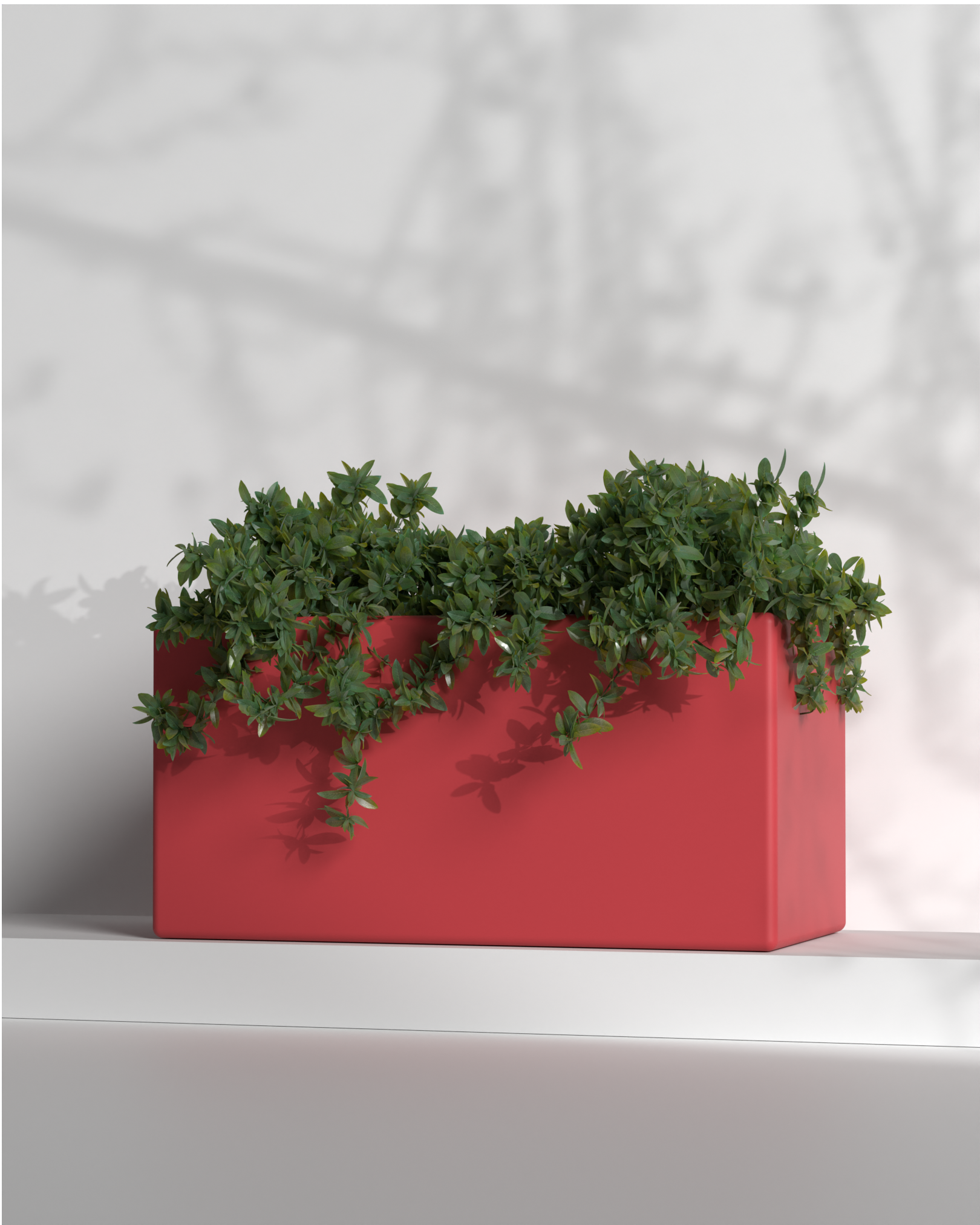 Cubo 24x12x12 Gallery by The Workshop