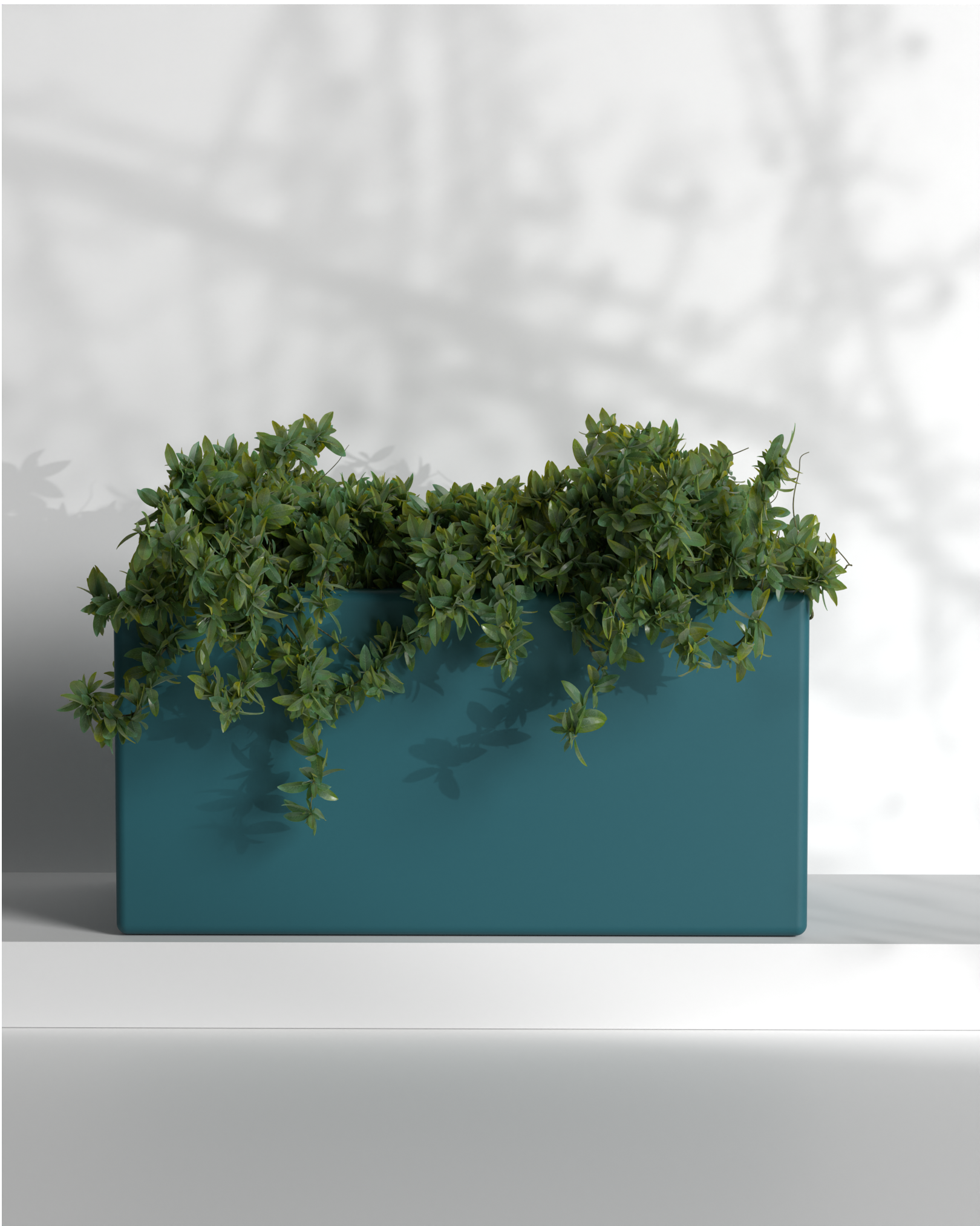 Cubo 24x12x12 Gallery by The Workshop
