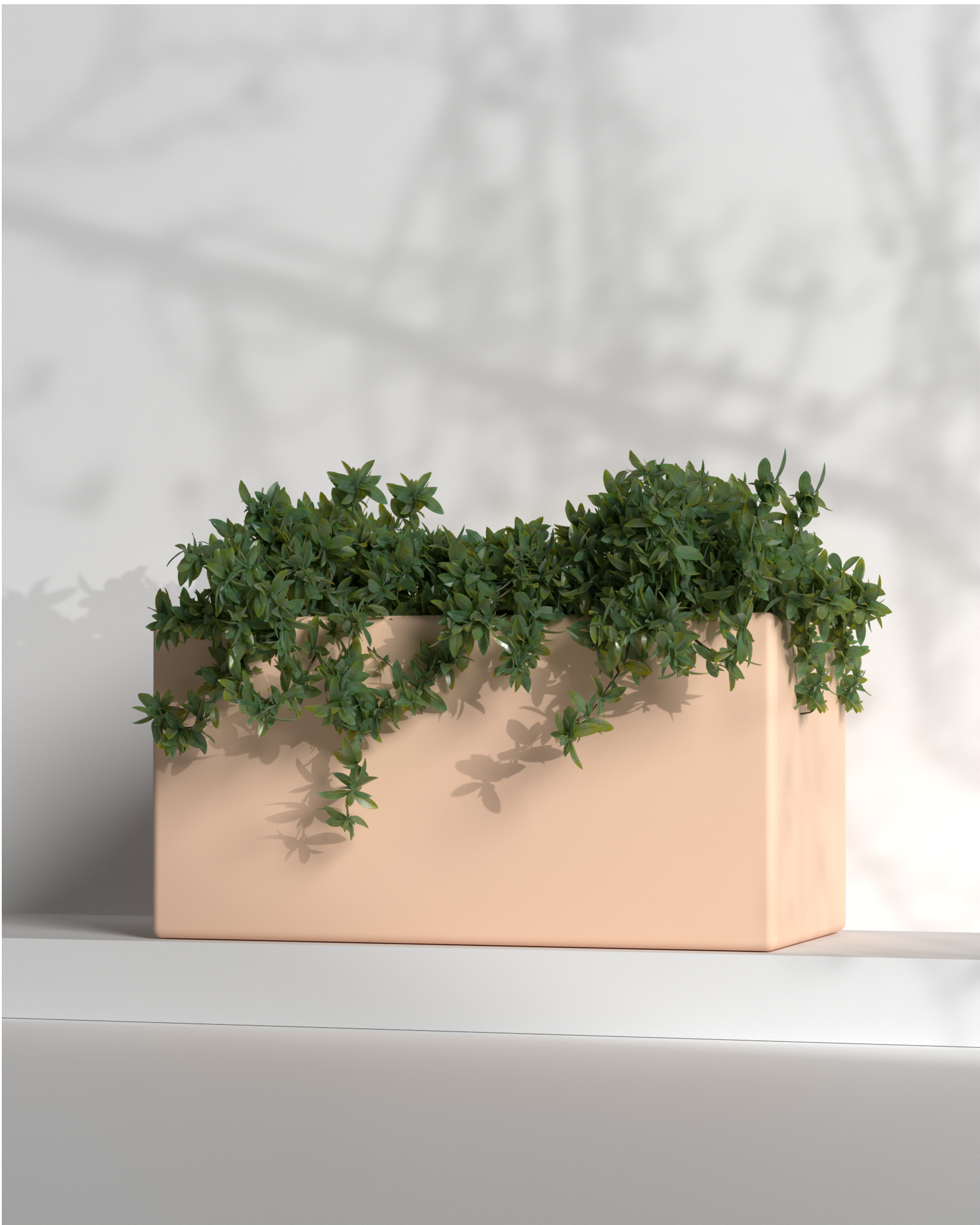 Cubo 24x12x12 Gallery by The Workshop