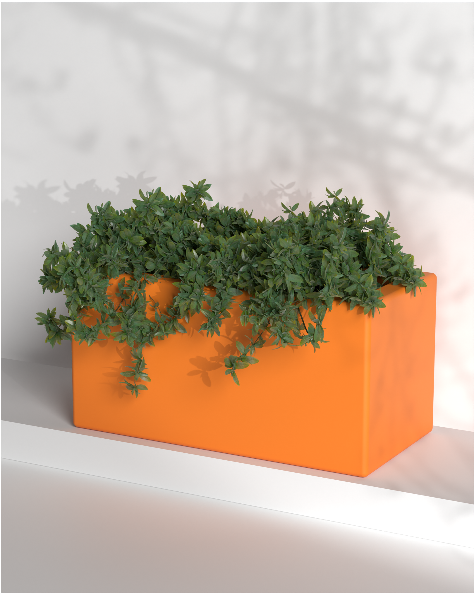 Cubo 24x12x12 Gallery by The Workshop
