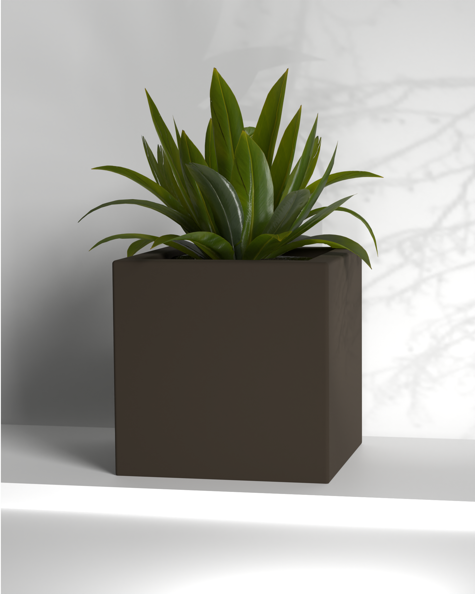 Cubo 24x24x24 Gallery by The Workshop