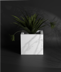 Cubo 24x24x24 Gallery by The Workshop