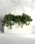 Cubo 36x18x18 Gallery by The Workshop