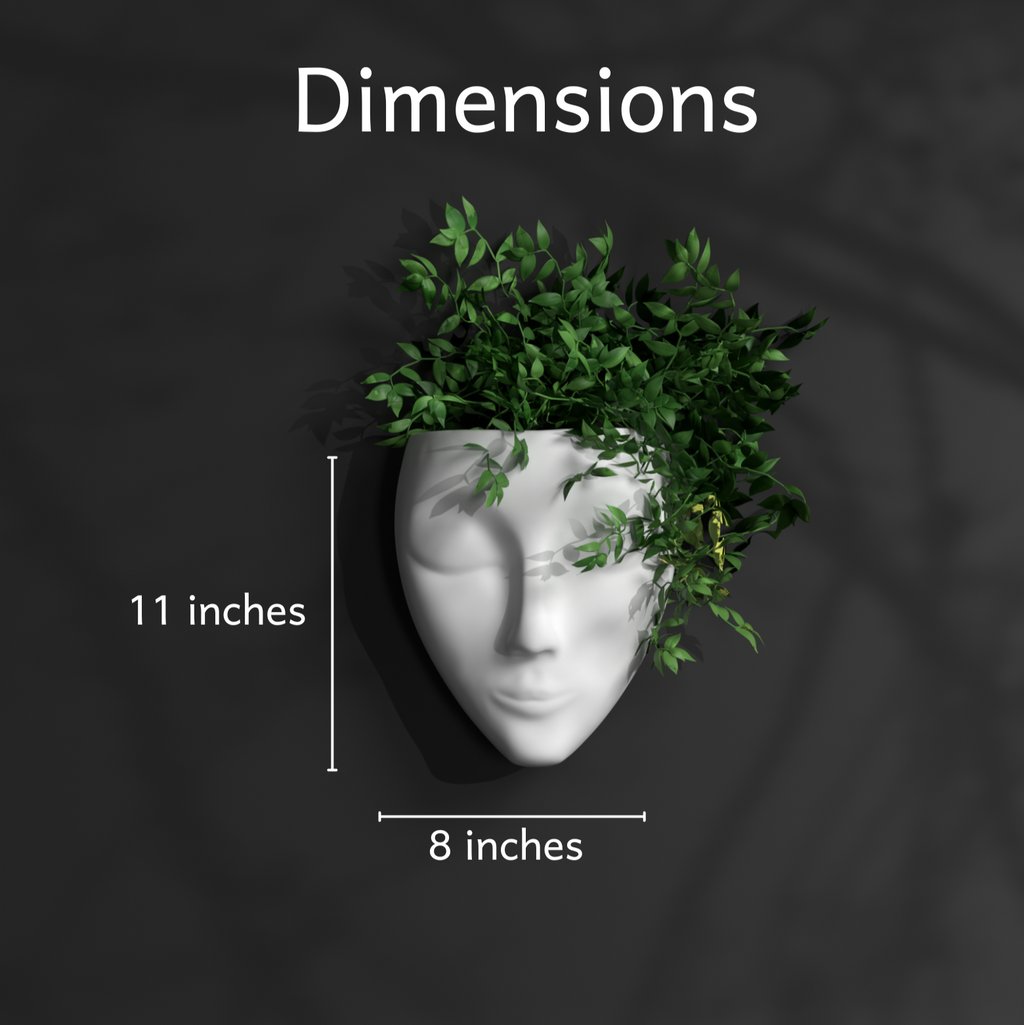 Eve Gallery by The Workshop