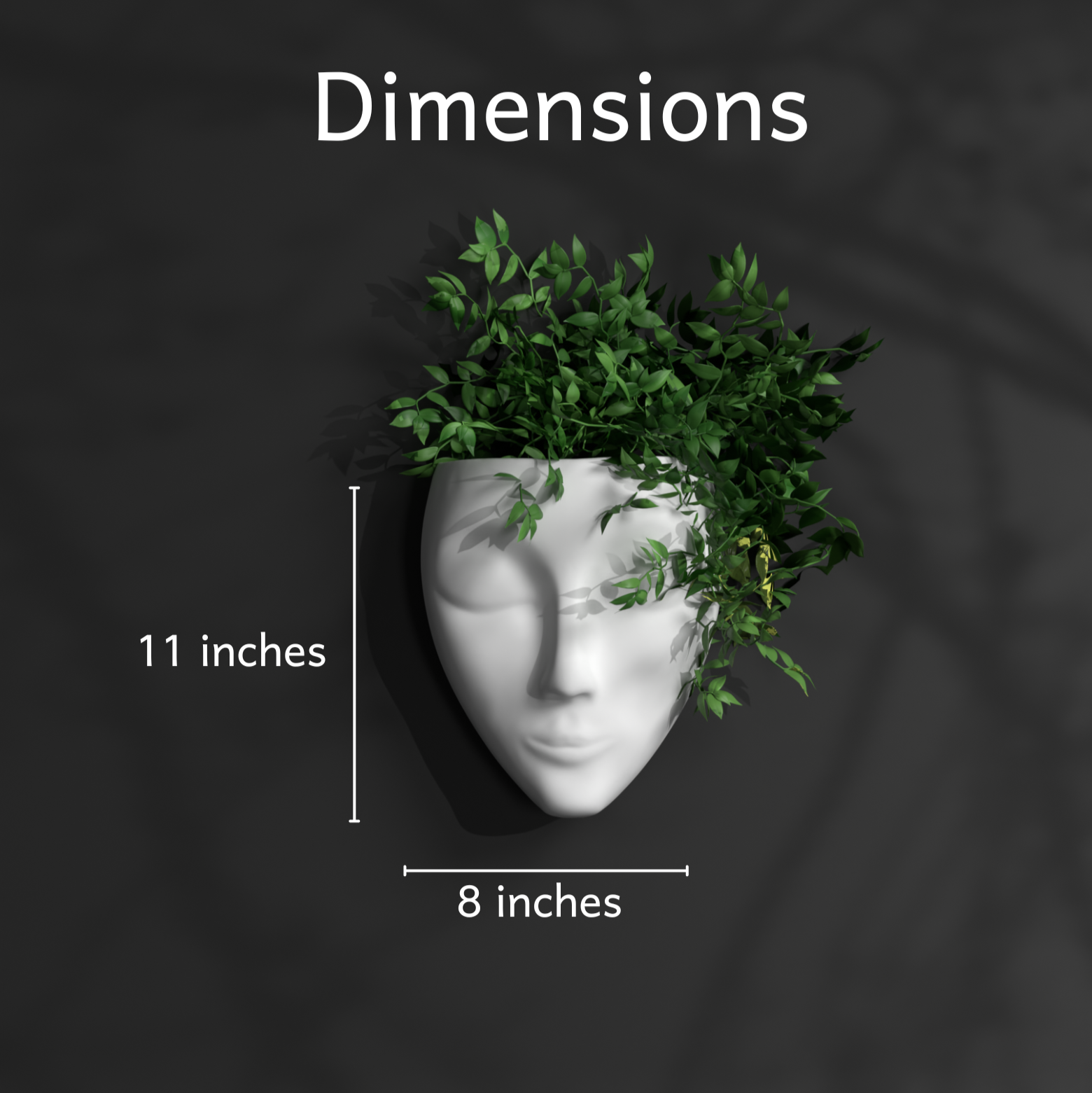 Eve Gallery by The Workshop