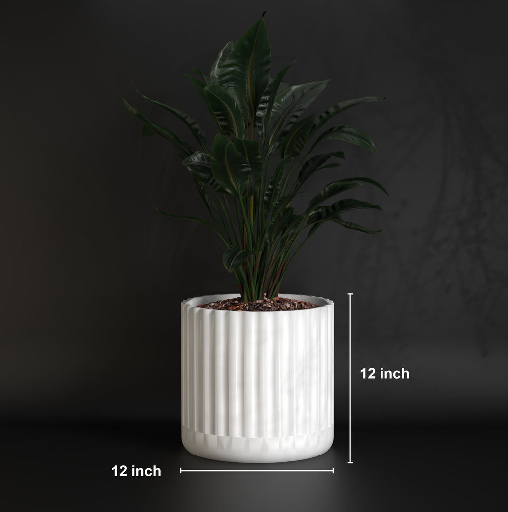 Fluted Polo L | Big Size Plant Pot | FRP Planter