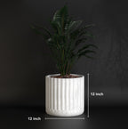 Fluted Polo L | Big Size Plant Pot | FRP Planter