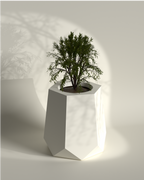 Hexagram M Gallery by The Workshop
