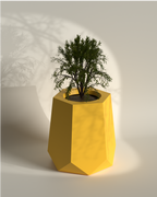 Hexagram M Gallery by The Workshop