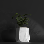 Hexagram M Gallery by The Workshop