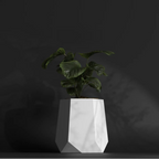 Hexagram M Gallery by The Workshop