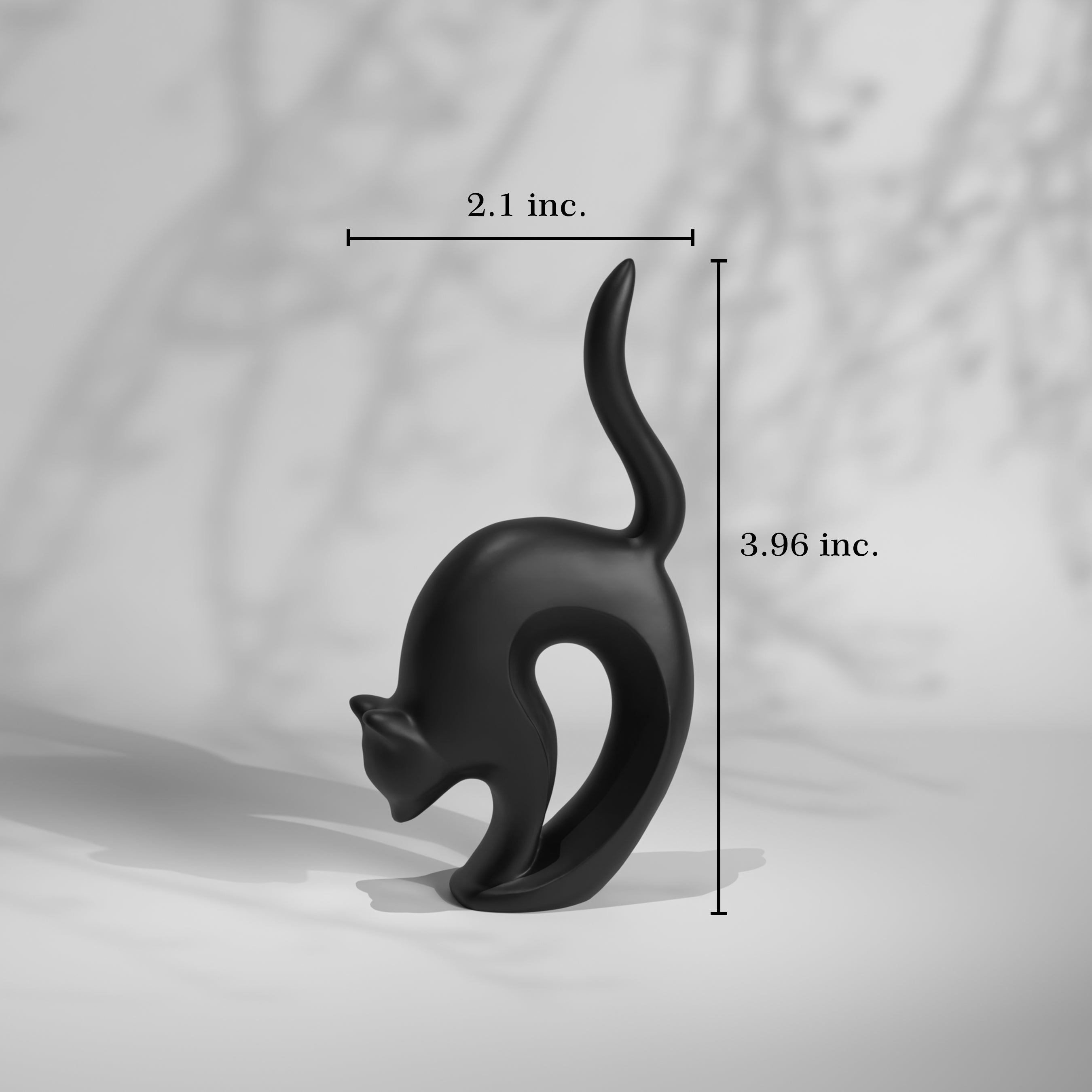 Loop Tail