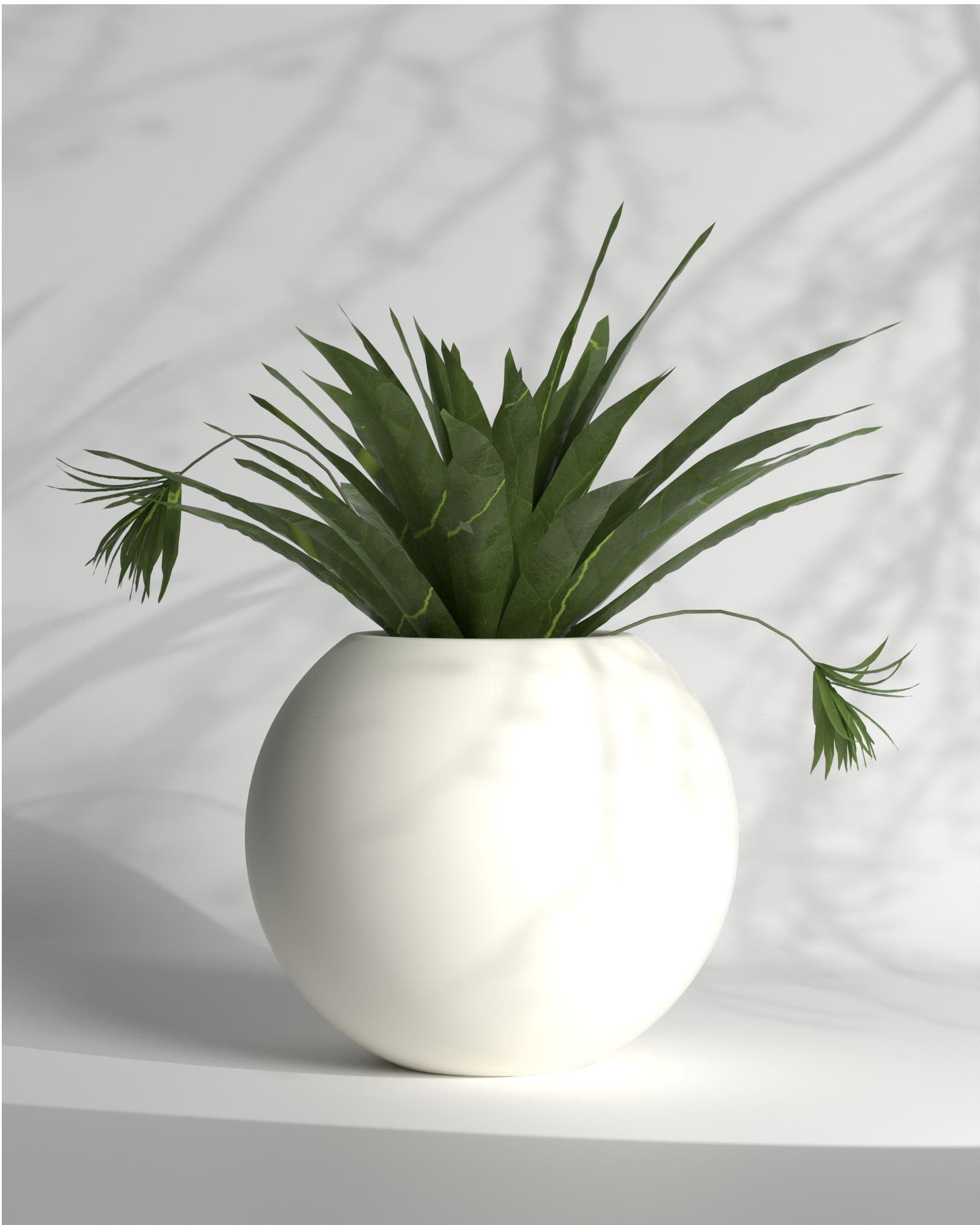 11 in plant pot Pearl 11