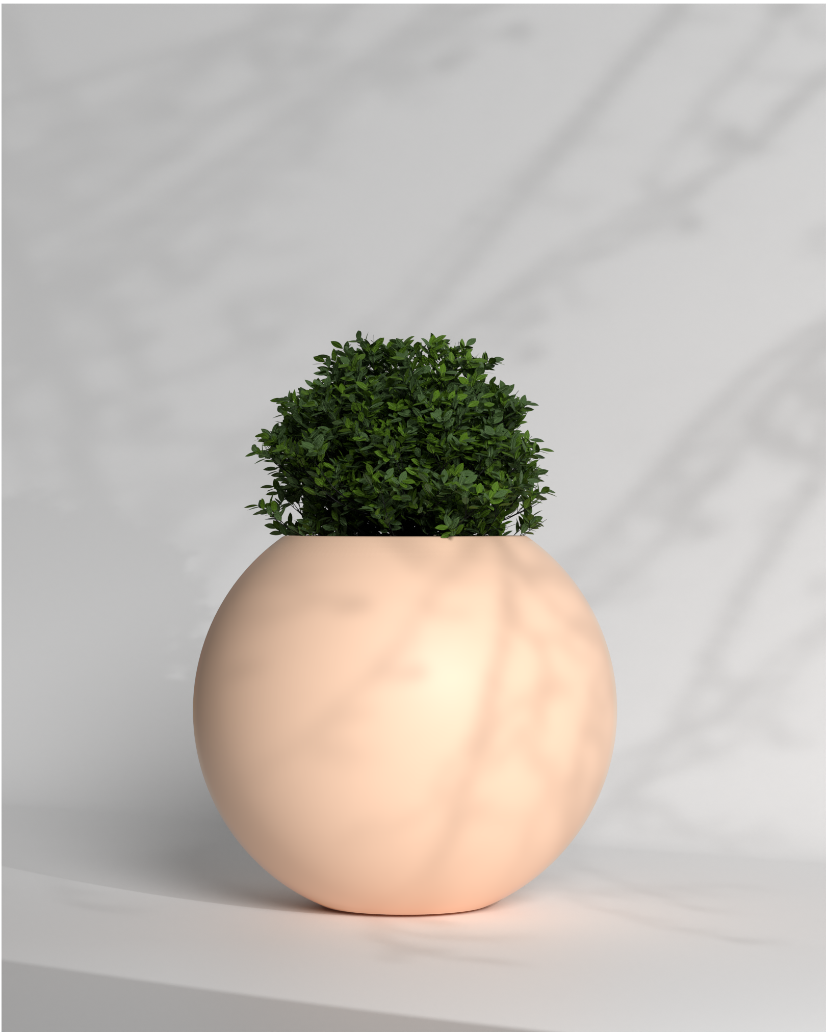 Pearl 7 Gallery by The Workshop