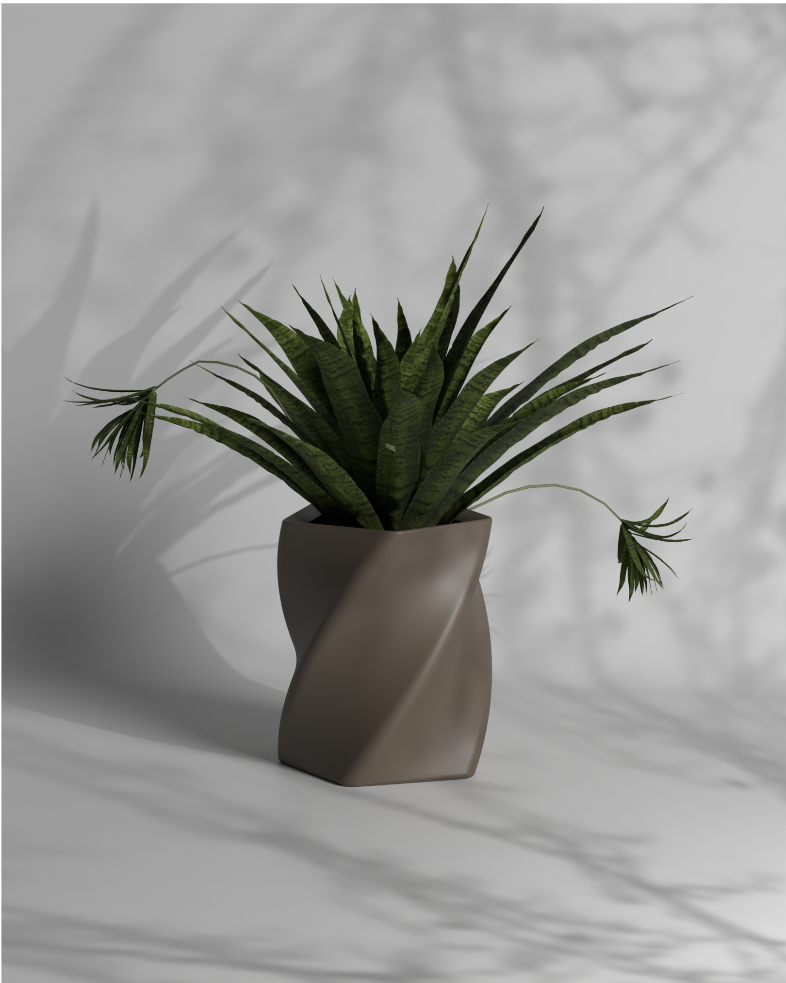 Penta Twist S Gallery by The Workshop