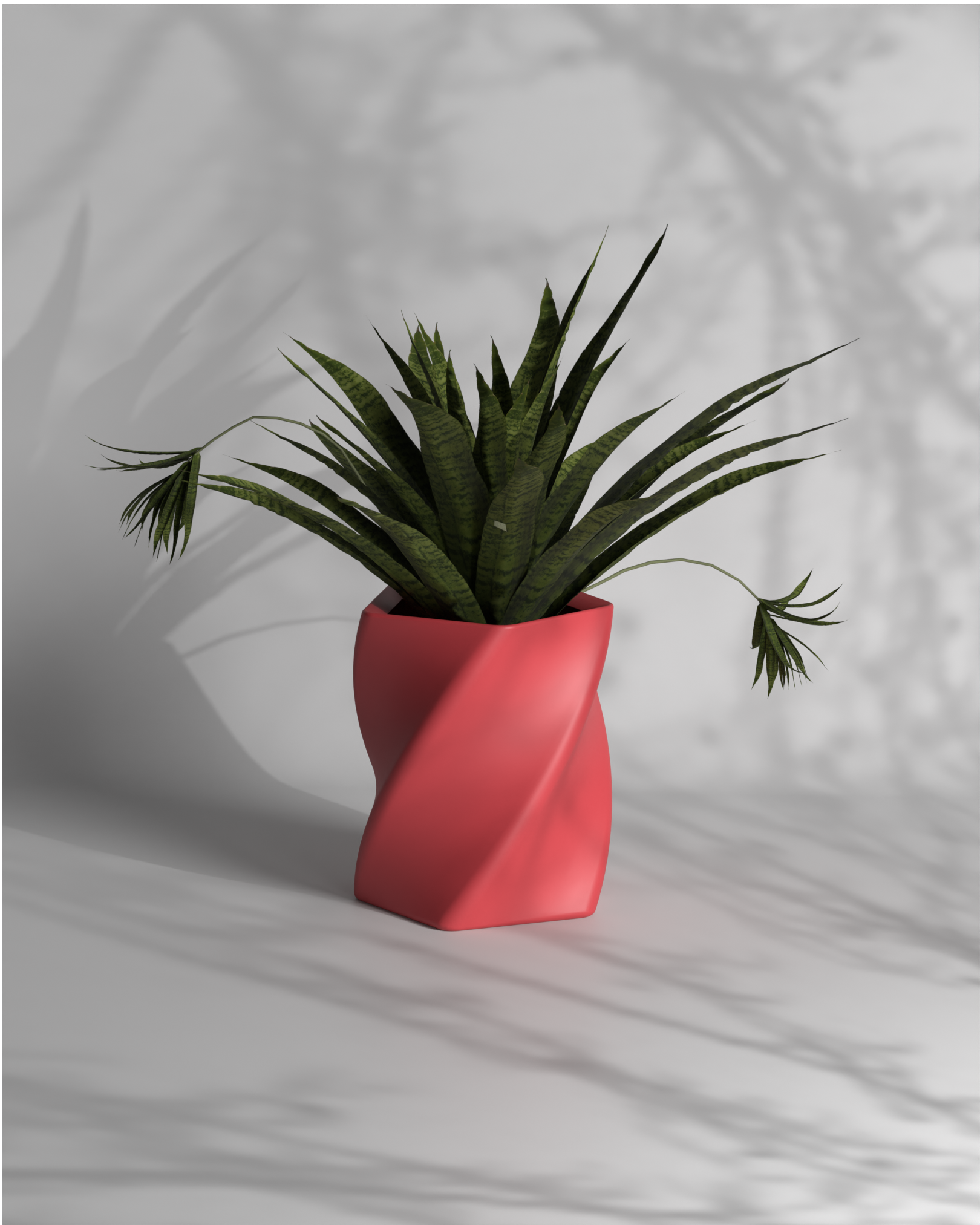 Penta Twist S Gallery by The Workshop