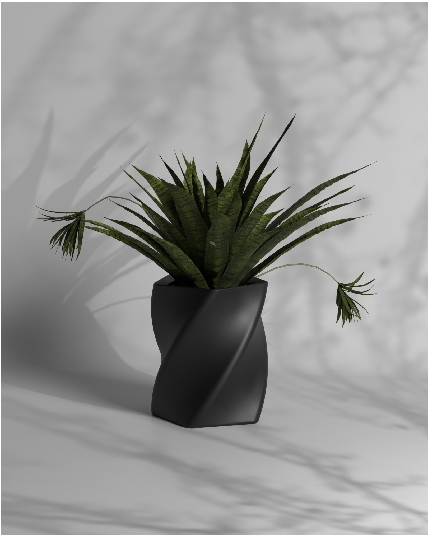 Penta Twist S Gallery by The Workshop