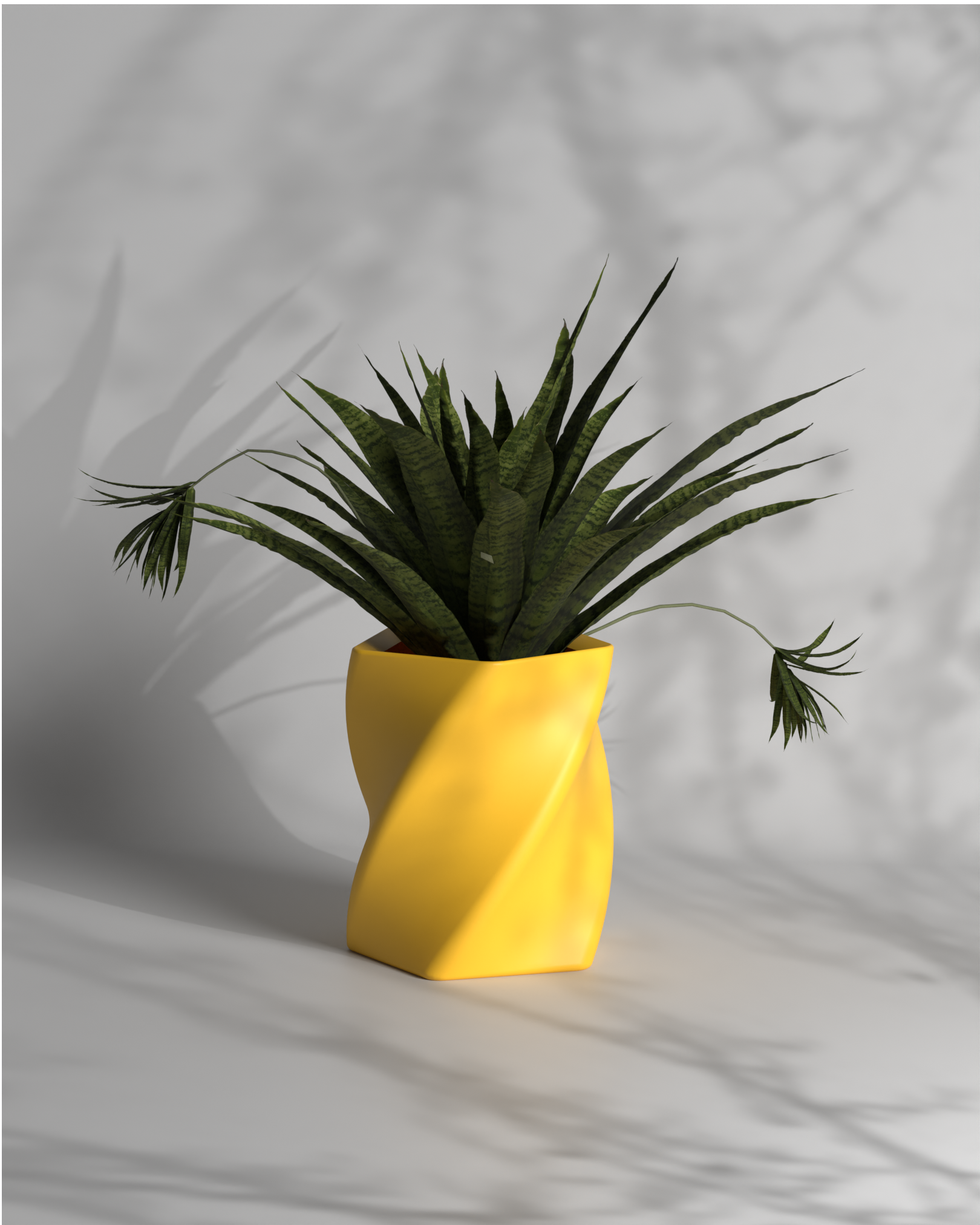 Penta Twist S Gallery by The Workshop