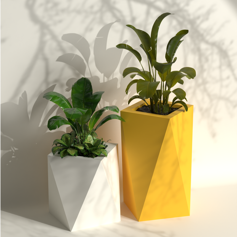 Pharaoh Duo Gallery by The Workshop