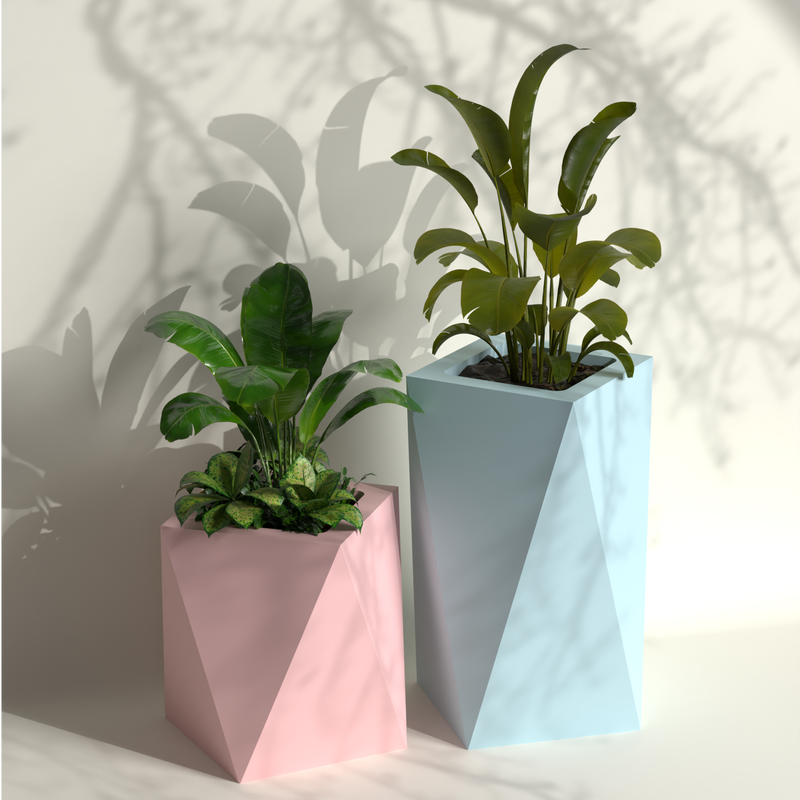 Pharaoh Duo Gallery by The Workshop