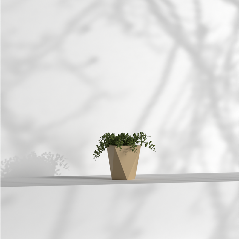 Pharaoh Nano Gallery by The Workshop