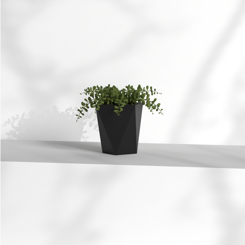 Pharaoh Nano Gallery by The Workshop