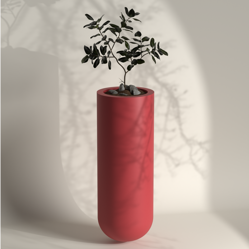 Polo M Gallery by The Workshop