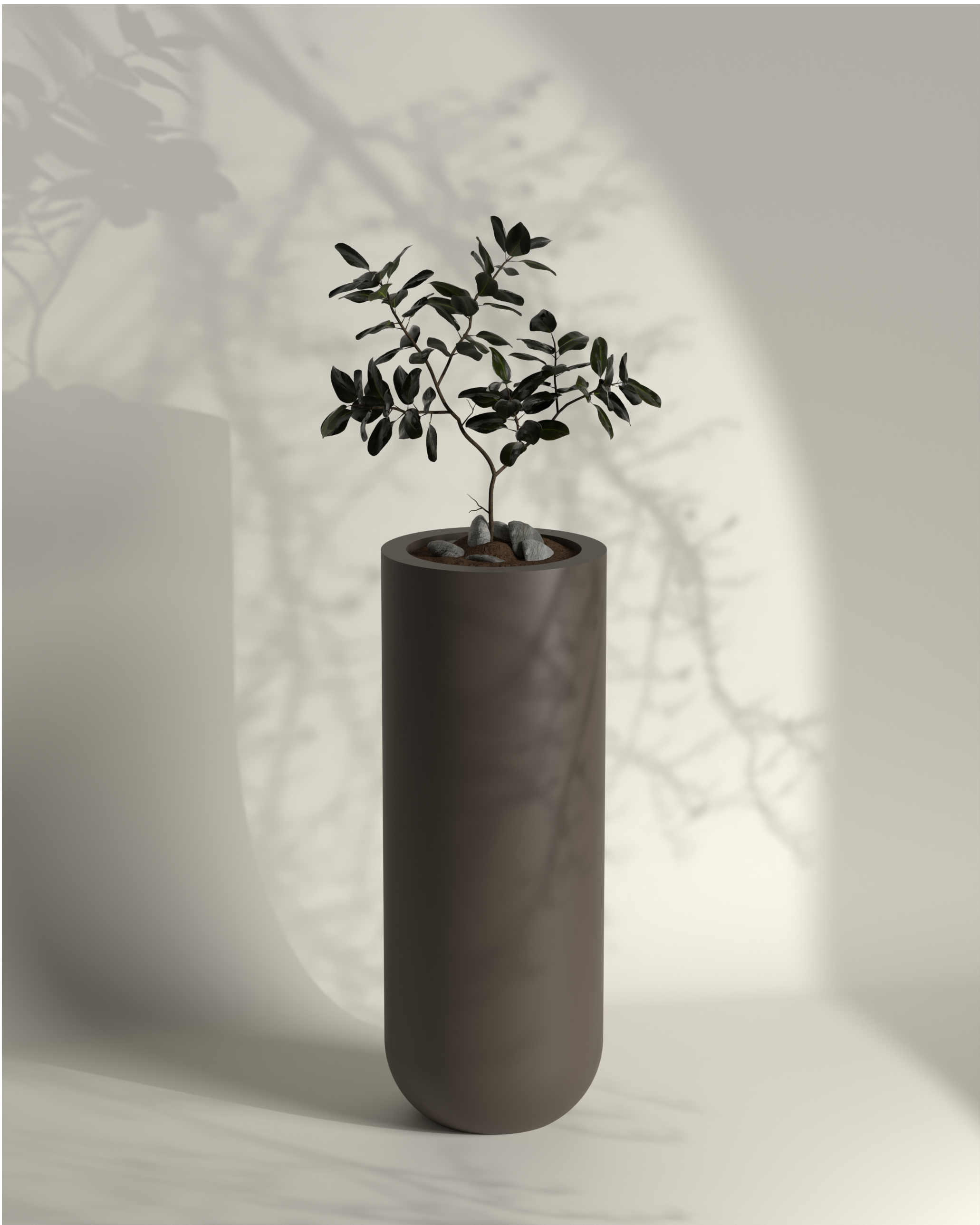Polo M Gallery by The Workshop
