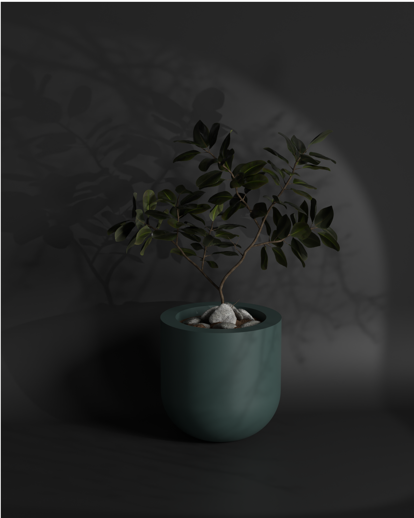 Polo S Gallery by The Workshop