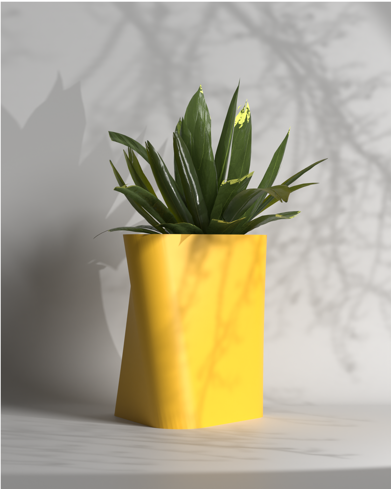 Tri Twist S Gallery by The Workshop