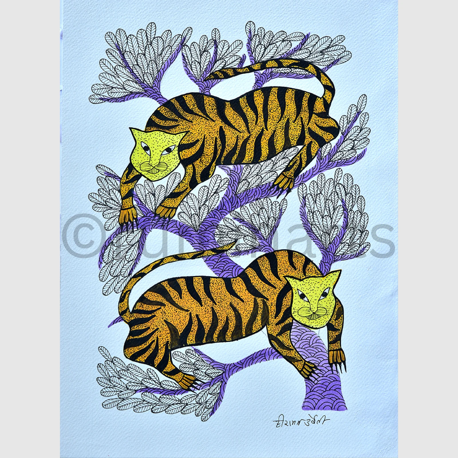Tiger pair, Size- 15×11 Inch