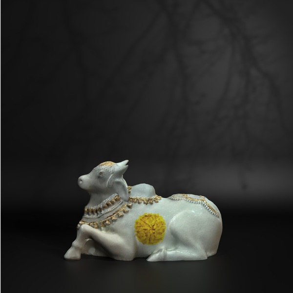 Nano Nandi White