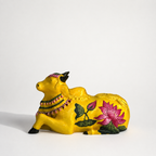 Yellow Medium Nandi
