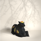 Black Medium Nandi