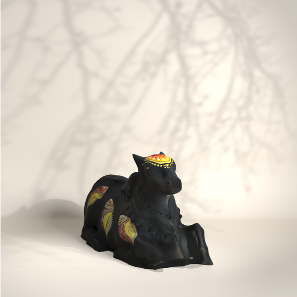 Black Medium Nandi