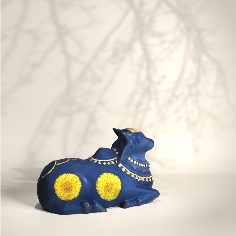 Blue Medium Nandi