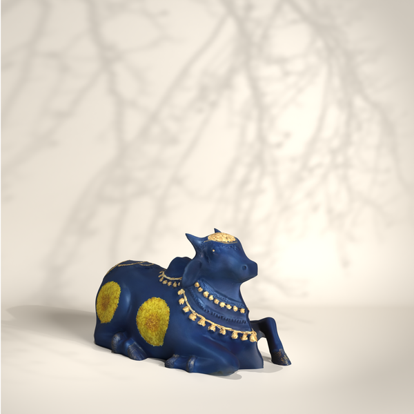 Blue Medium Nandi