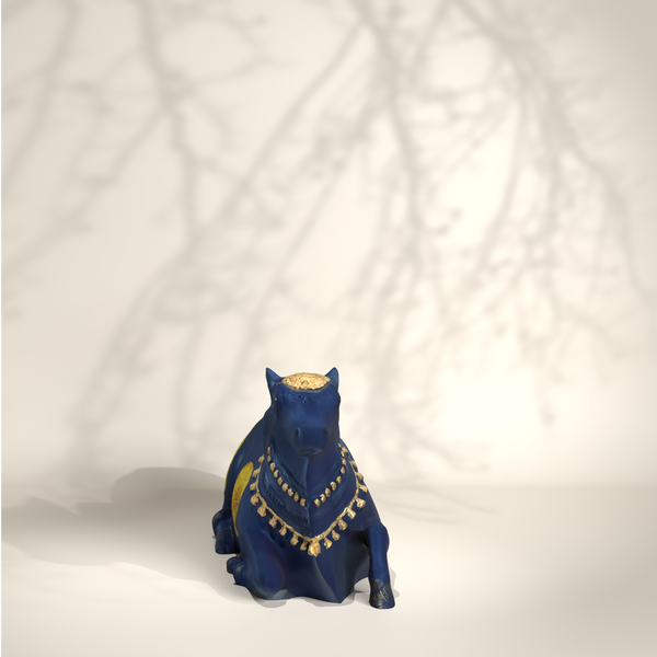 Blue Medium Nandi