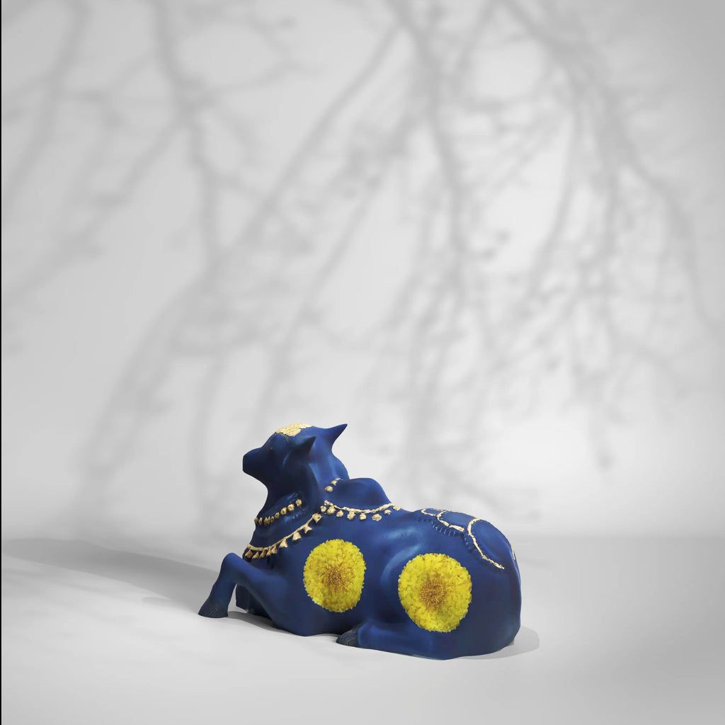 Nano Nandi Blue